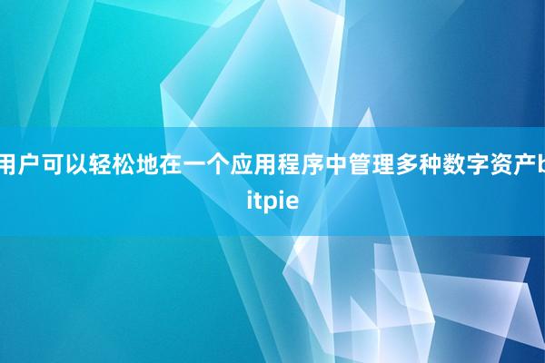 用户可以轻松地在一个应用程序中管理多种数字资产bitpie