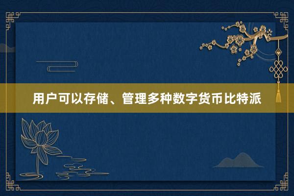 用户可以存储、管理多种数字货币比特派