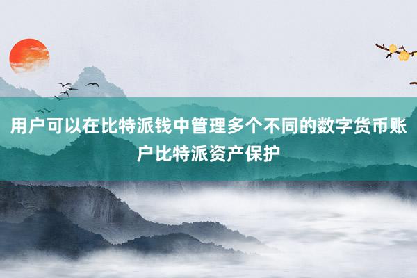 用户可以在比特派钱中管理多个不同的数字货币账户比特派资产保护