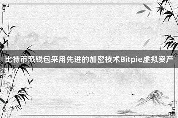 比特币派钱包采用先进的加密技术Bitpie虚拟资产