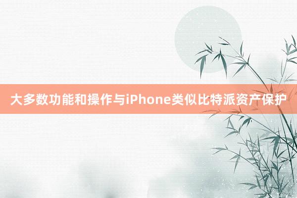 大多数功能和操作与iPhone类似比特派资产保护