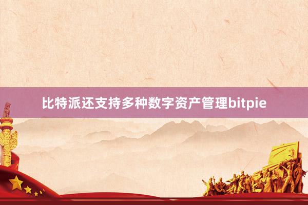 比特派还支持多种数字资产管理bitpie