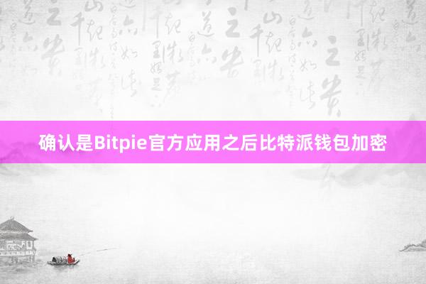 确认是Bitpie官方应用之后比特派钱包加密