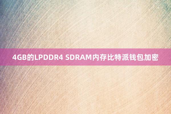 4GB的LPDDR4 SDRAM内存比特派钱包加密