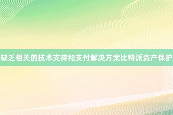 缺乏相关的技术支持和支付解决方案比特派资产保护