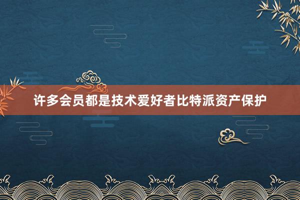 许多会员都是技术爱好者比特派资产保护