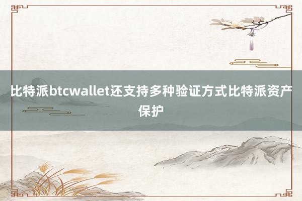 比特派btcwallet还支持多种验证方式比特派资产保护