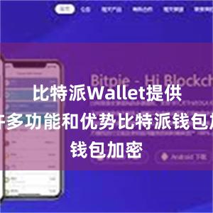 比特派Wallet提供了许多功能和优势比特派钱包加密