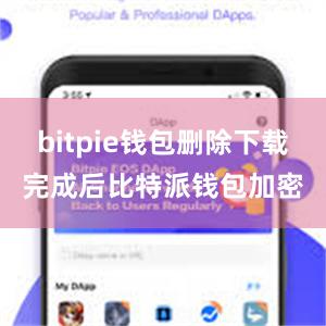 bitpie钱包删除下载完成后比特派钱包加密