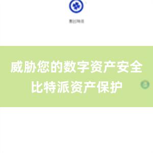 威胁您的数字资产安全比特派资产保护