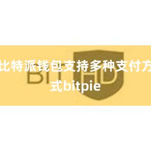 比特派钱包支持多种支付方式bitpie