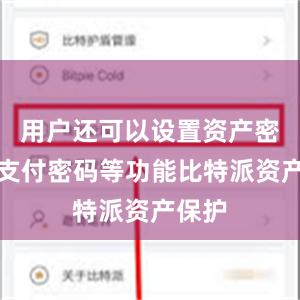 用户还可以设置资产密码、支付密码等功能比特派资产保护