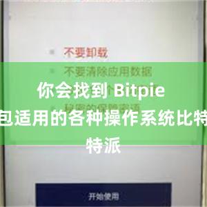 你会找到 Bitpie 钱包适用的各种操作系统比特派